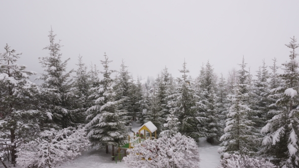 Winter Carpathian Landscape, Christmas Trees in the Snow. alt