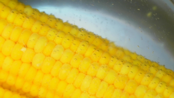 Corn Kernels in Boiling Water