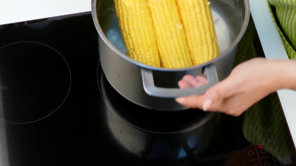Woman Put Cook Corn on the Stove