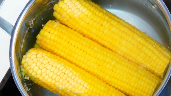 Cook Corn in a Saucepan