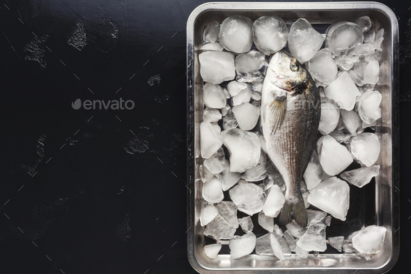 Fresh dorado on ice at black background - Stock Photo - Images