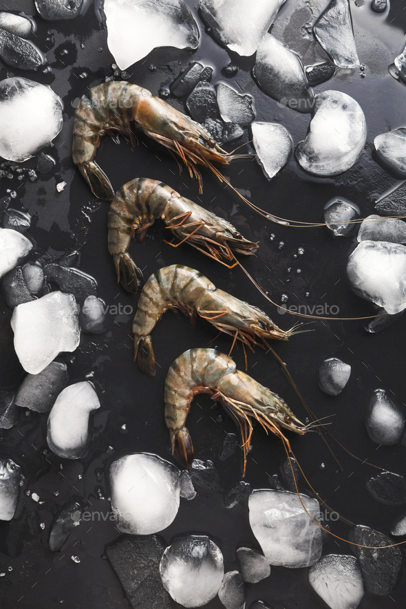 Raw shrimps with ice cubes on black background - Stock Photo - Images