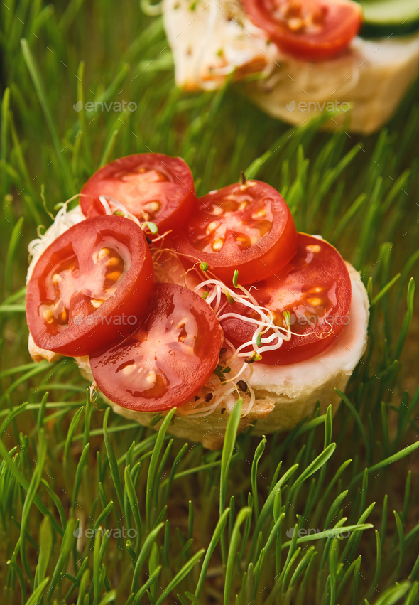 Healthy breakfast snack on growing micro green background - Stock Photo - Images