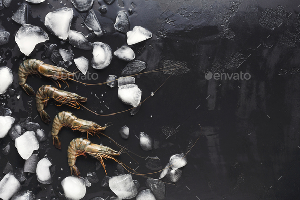 Raw shrimps with ice cubes on black background - Stock Photo - Images