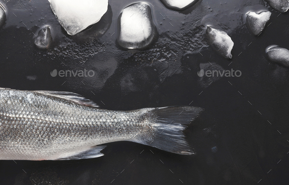 Fresh sea bass on black background - Stock Photo - Images