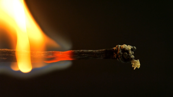 Burning Match And Flame Safety Match  on a Black Background