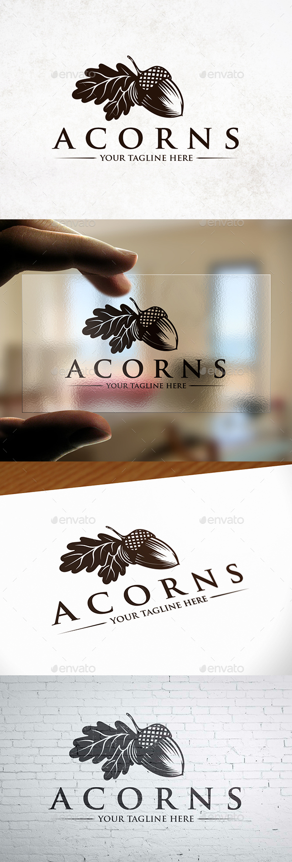 Creative Acorn Logo Template - Nature Logo Templates