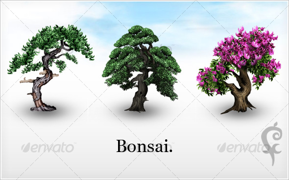 Bonsai. - Objects Illustrations