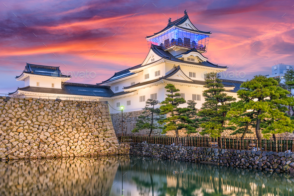 Toyama, Japan Castle - Stock Photo - Images