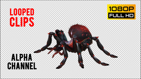 Spider 4 Realistic Pack 5 alt