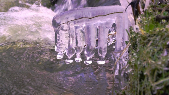 Icicles on a Winter Forest River with a Rapid Current
