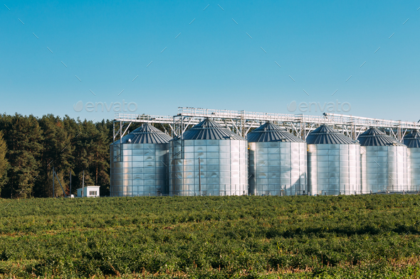 Modern Granary, Grain-drying Complex, Commercial Grain Or Seed S - Stock Photo - Images