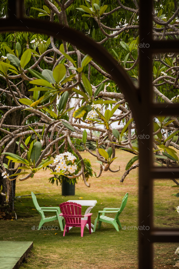 Beautiful Garden and Table in the Caribbean - Stock Photo - Images