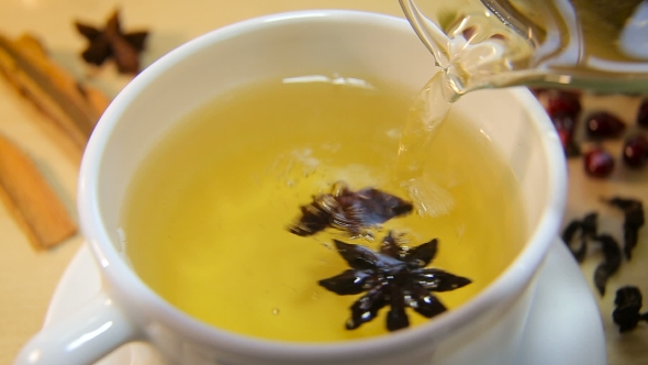 A Cup of Tea with Anise alt