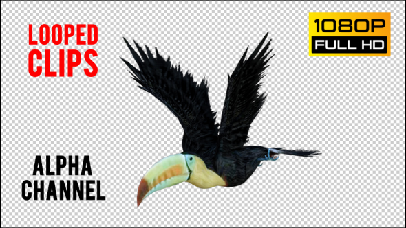 Tukan 1 Realistic Pack 4 alt