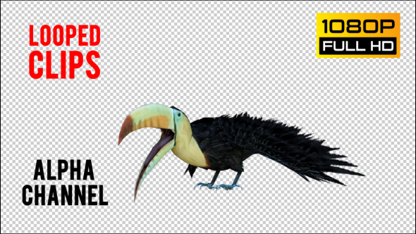 Tukan 2 Realistic Pack 4 alt