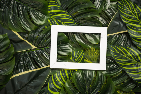 White photo frame over palm leaves, design mock up Stock Photo by merc67