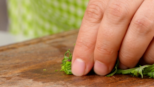 the Cook Cuts the Leaves of the Arugula