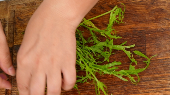 The Hand Tears the Rucola on the Salad