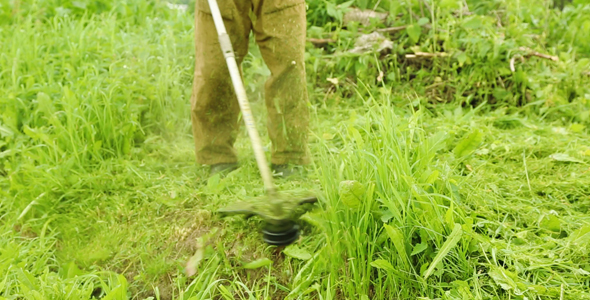 Trimming Grass in the Garden