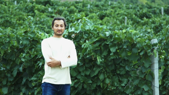 Man Stands Next to a Vineyard