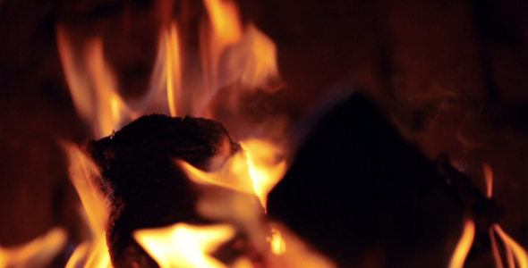 Firewood Burning in Stove