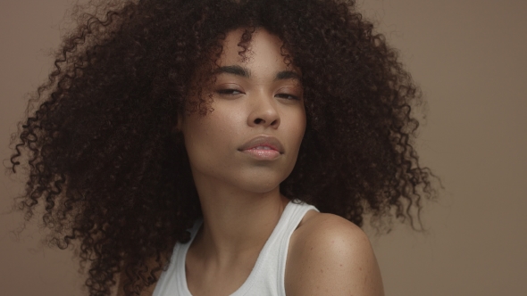 Studio Portrait of Black Model Woman Looking at Camera, Ideal Skin ...