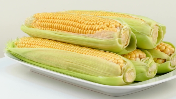 Corn Cobs Are Spinning on a Table in a Plate