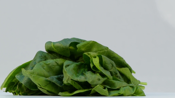 A Bunch of Spinach Leaves Spinning on a White Background