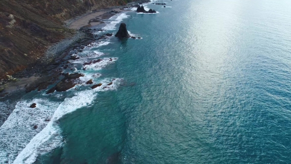 Flight Over Seashore at Tenerife