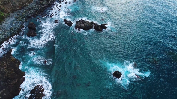 Flight Over Seashore at Tenerife