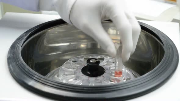 Scientist testing in laboratory for analysis.