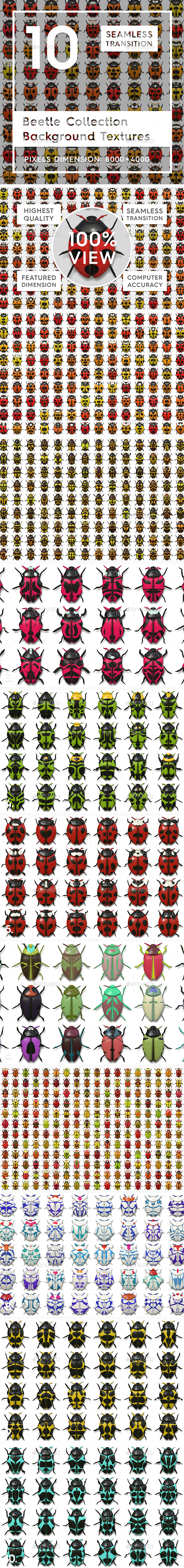 10 Beetle Collection Backgrounds - 3D Backgrounds