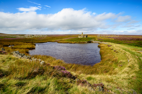 Middle Moss Cottage - Stock Photo - Images