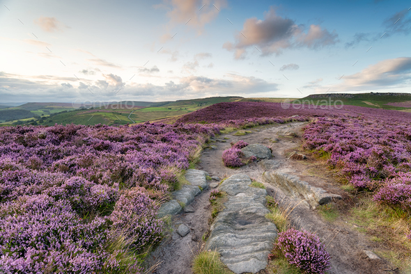 Winyards Nick in Derbyshire - Stock Photo - Images