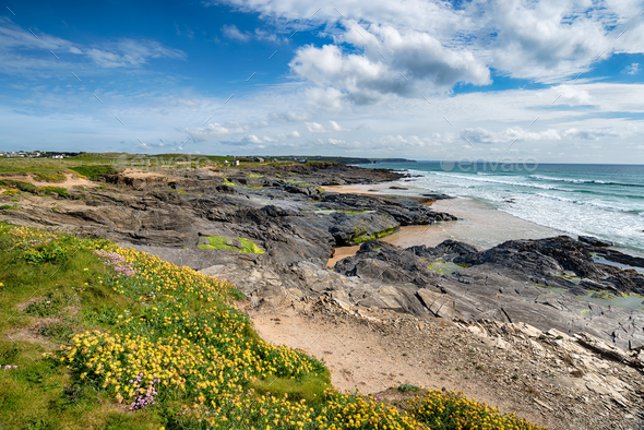 Summer on the Cornwall Coast - Stock Photo - Images
