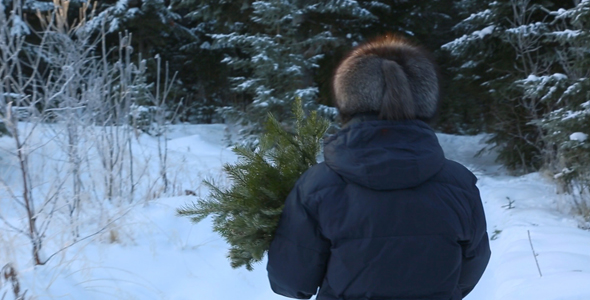 Woman With Fir Branches Walking Through the Snow Forest