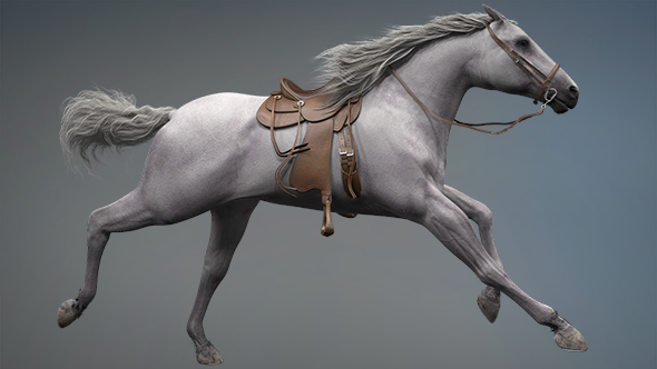3D Horse Gallop