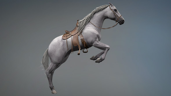 3D Horse Jump