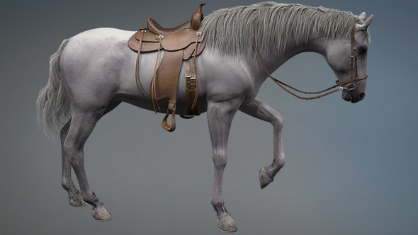 3D Horse Scratch