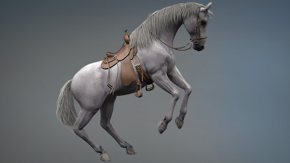 3D Horse Rise
