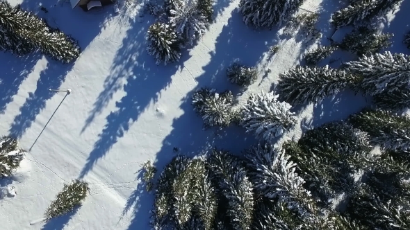 Aerial View of Snowy Winter Forest