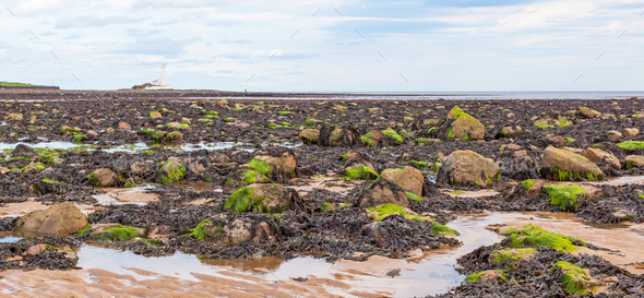 Whitley Bay and St Mary's Lighthouse - Stock Photo - Images