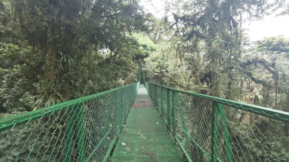 Walking on Hanging Bridge at Natural Rainforest in Costa Rica