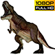 T-REX 4 Realistic Pack 5 - VideoHive Item for Sale