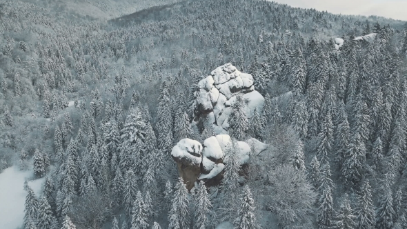 Aerial View of Winter Mountains, Alpine Meadow - Hills Covered with Huge Pine Trees and Snow-capped alt