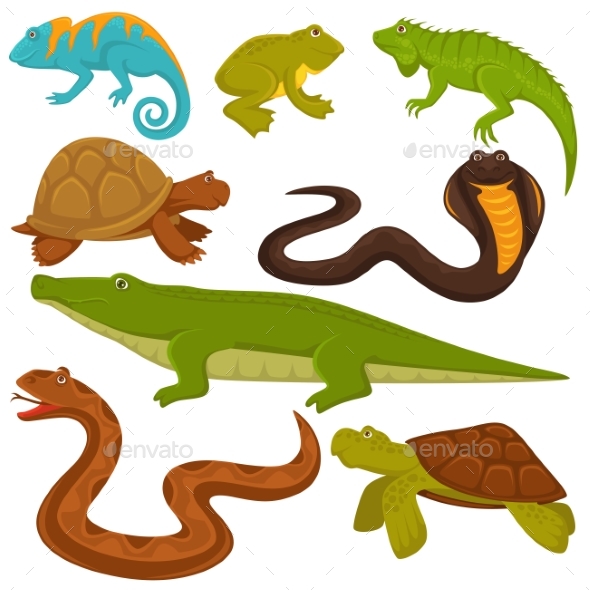Reptiles and Reptilian Animals Turtle, Crocodile - Animals Characters