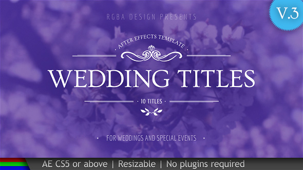 Wedding Titles - VideoHive 20762530