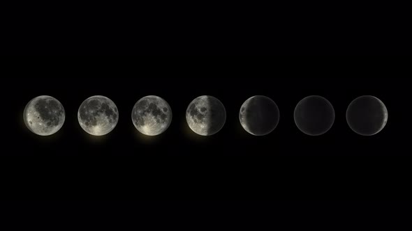 Moon Phases On Transparent Background