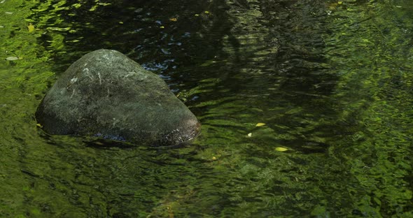 The river Lavaur in the Aveyron department, the Occitan, France alt